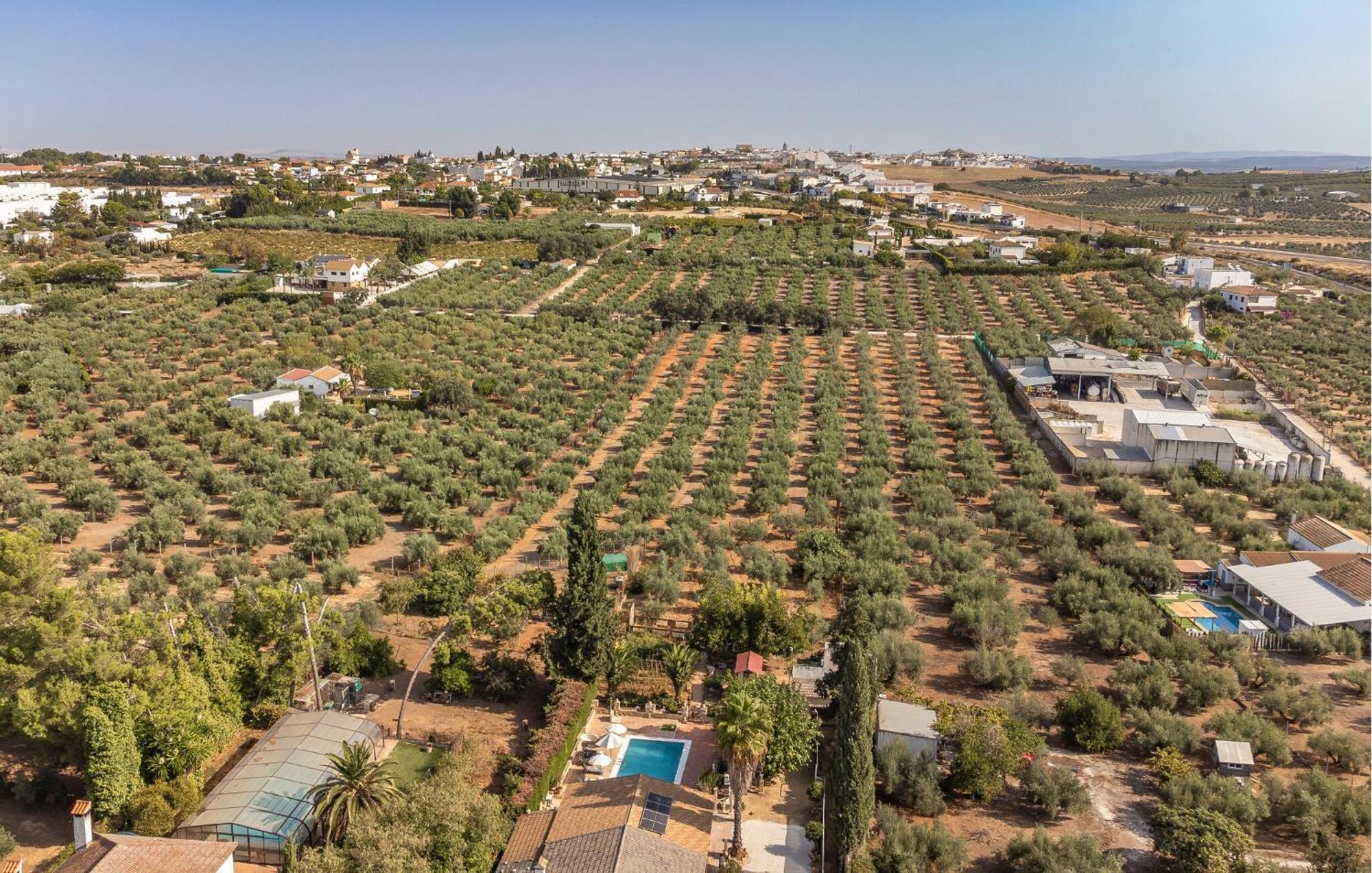 Awesome Home In Montilla With Kitchen Bagian luar foto